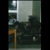 3AK_01.jpg